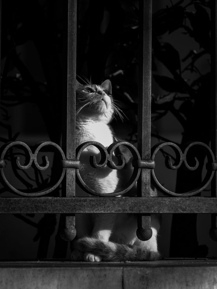 Photograph by Георгий Акопджанов