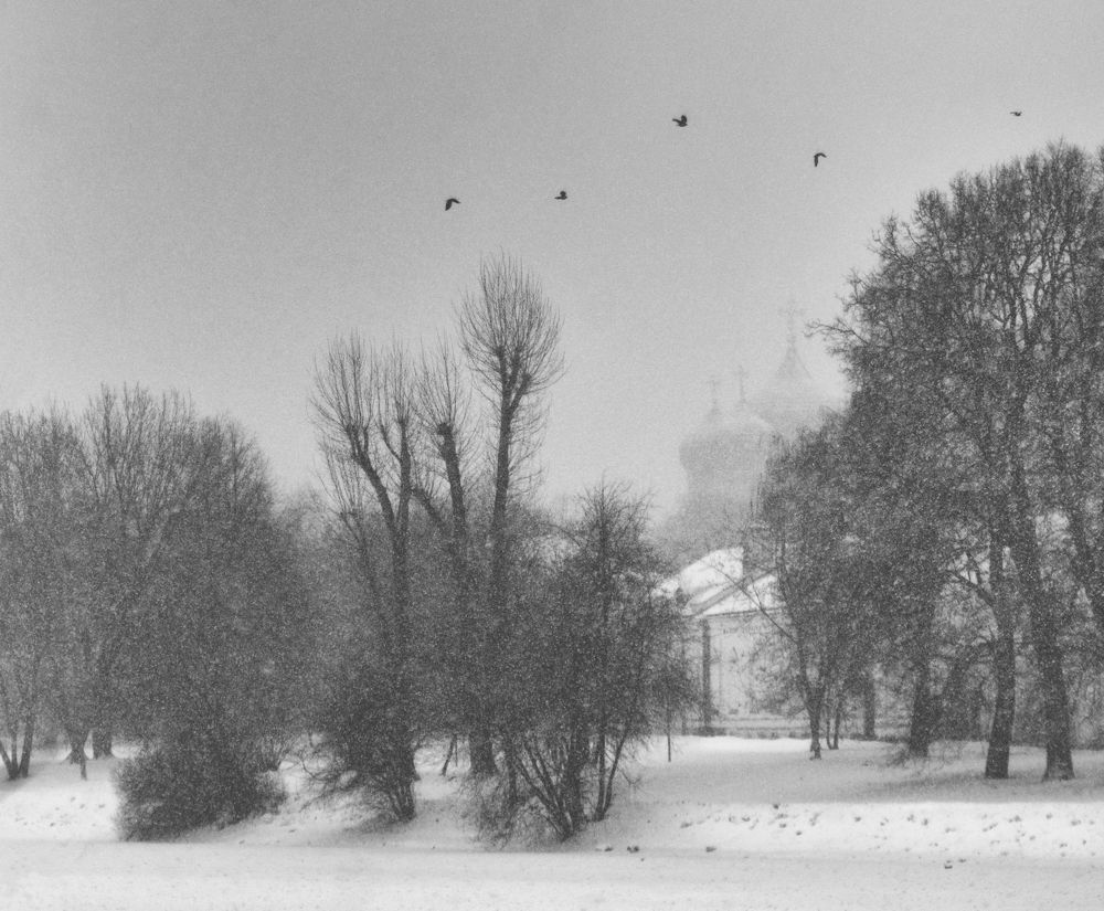 Photograph by Константин Мишнаевский