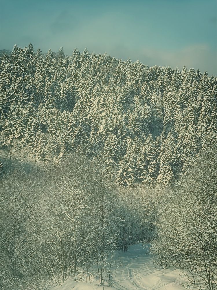 Фотография автора Елена