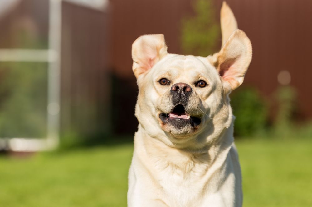 Photograph by Евгений Смирнов