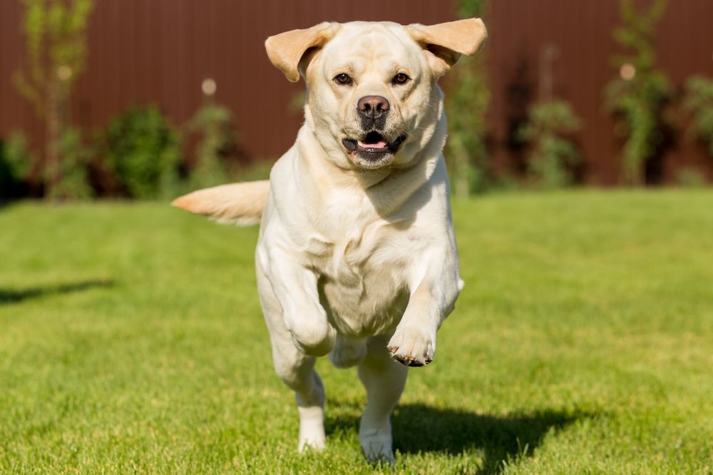 Photograph by Евгений Смирнов