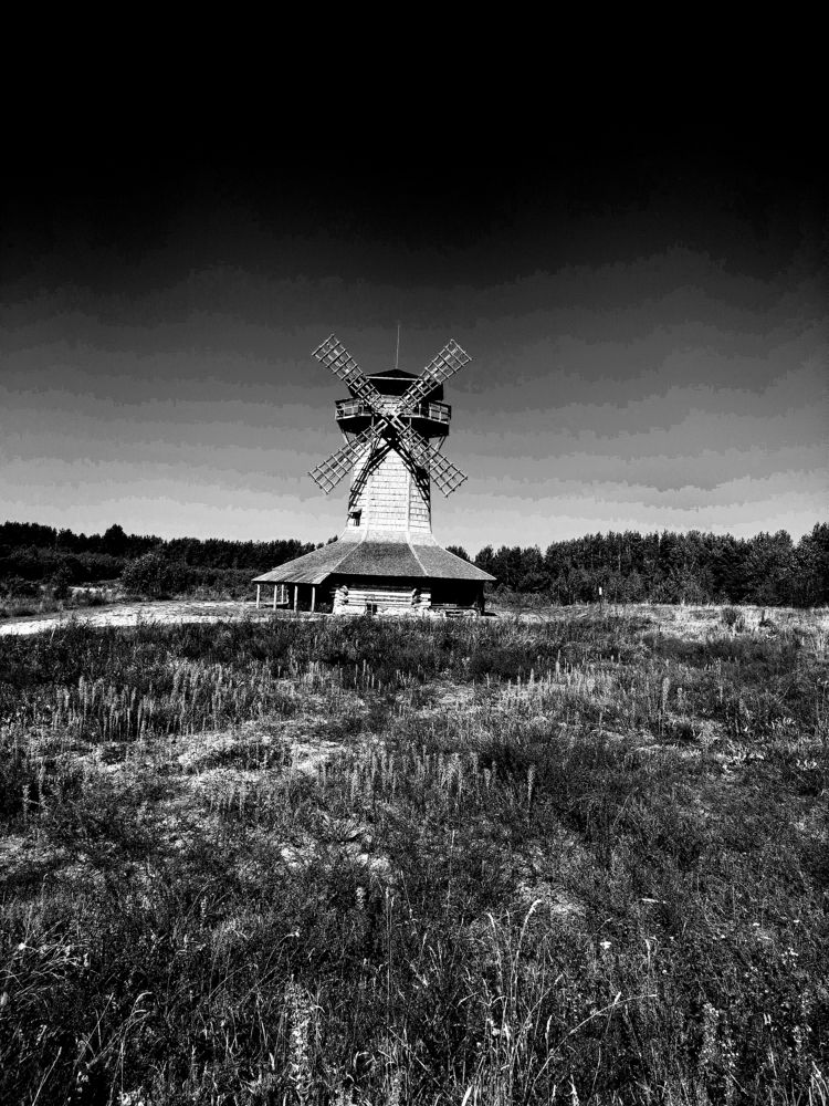 Фотография автора Наталья Драгун