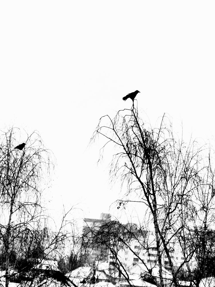 Фотография автора Наталья Драгун