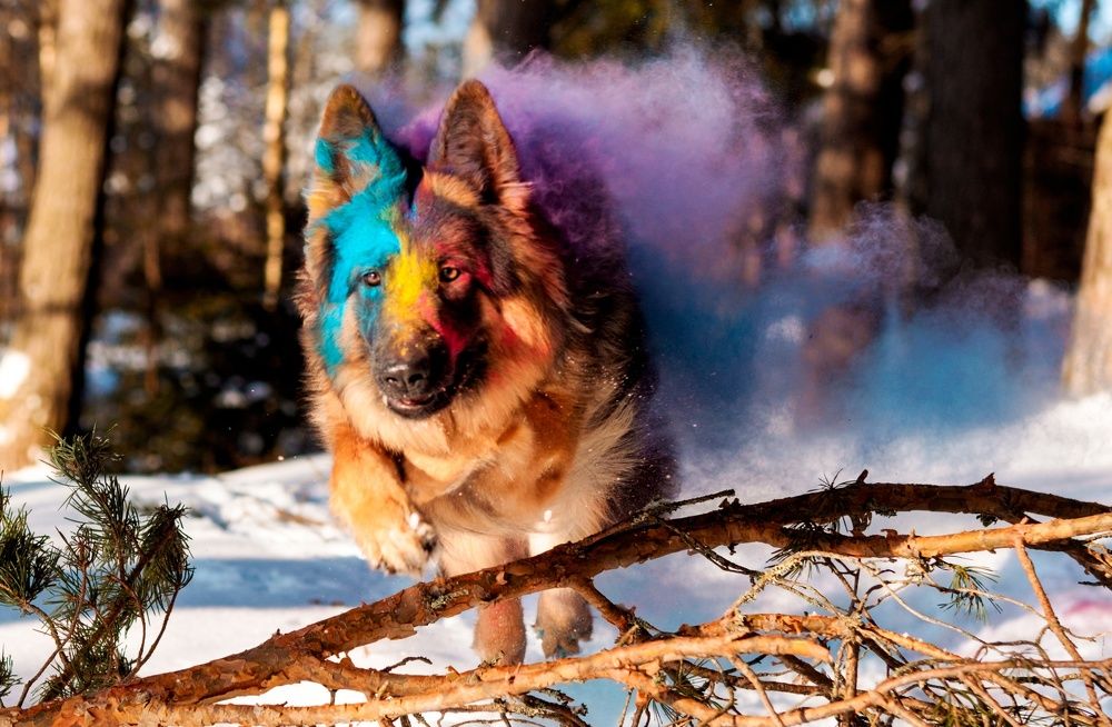 Photograph by Алексей Коровин