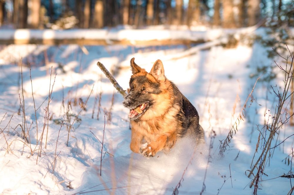 Photograph by Алексей Коровин