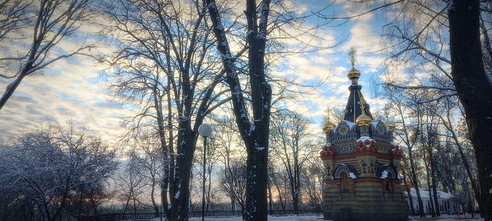 Photograph by Mishel Photographer