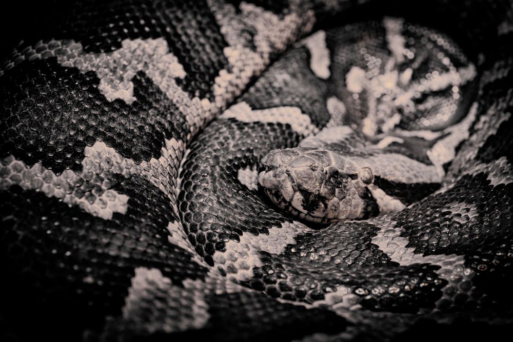 Фотография автора Ольга Альт