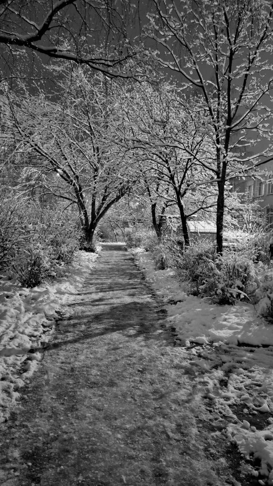 Photograph by Мария Андреева