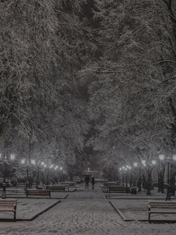 Фотография автора Ольга Панасюк