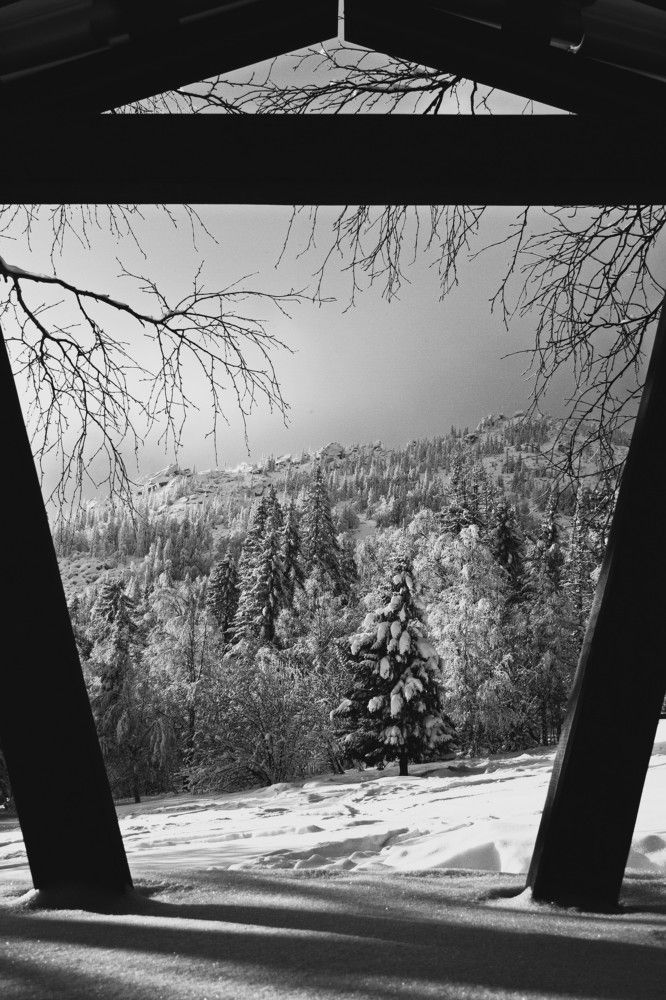 Photograph by ANTON KLYUSHIN