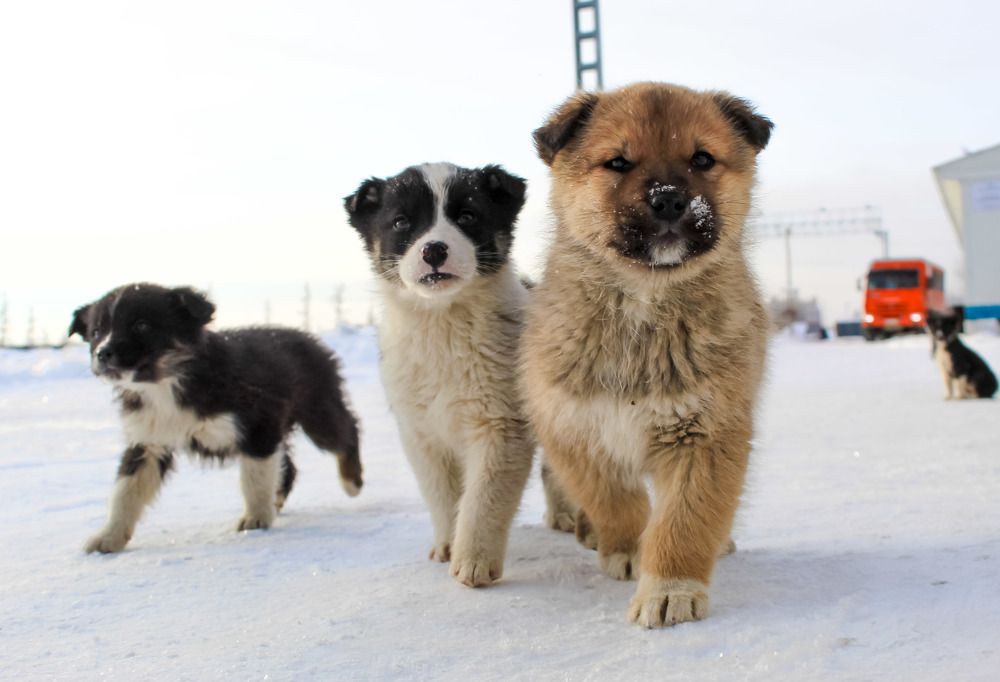 Photograph by Михаил Мархинин