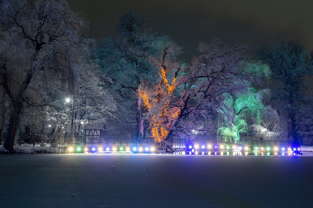 Фотография автора Антон Петров
