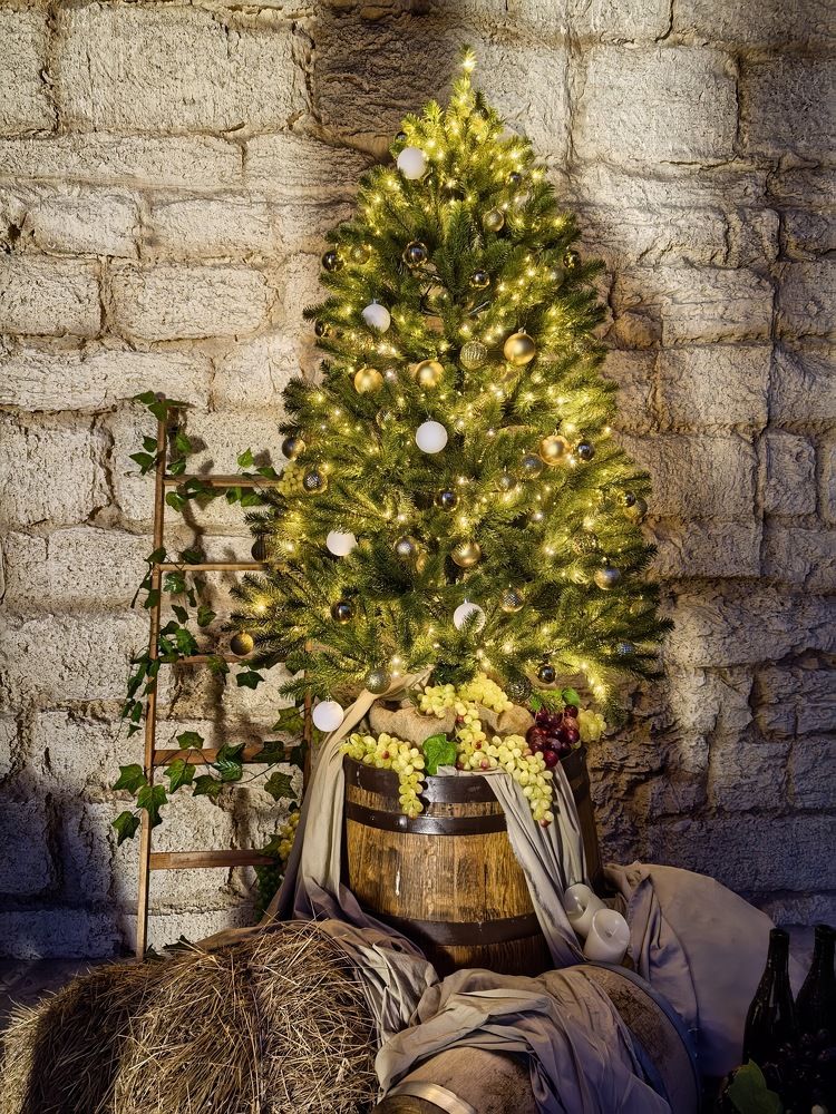 Photograph by Ксения Золотарь