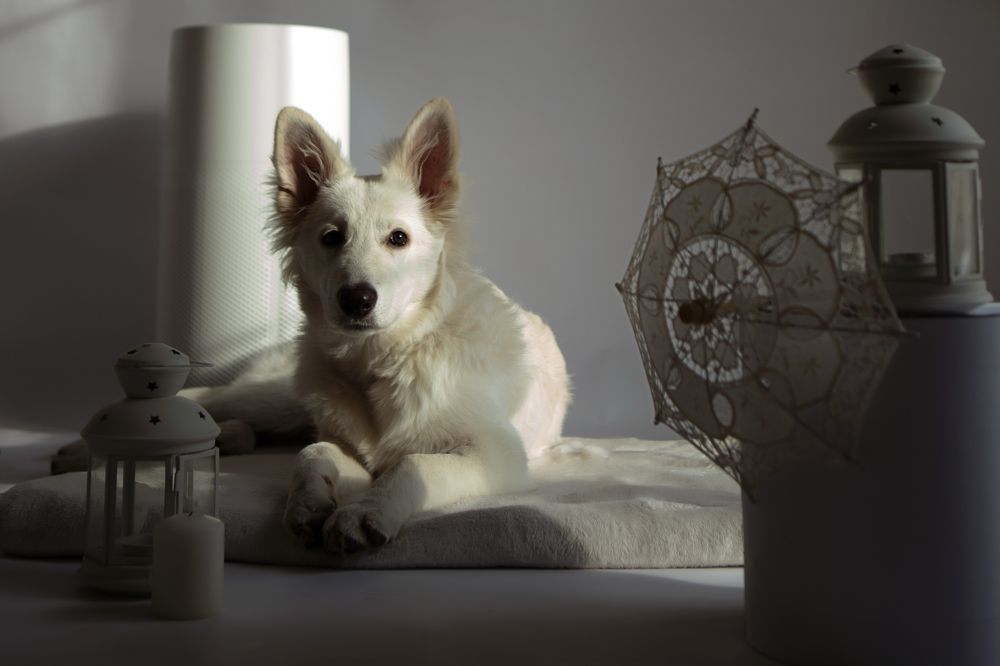 Photograph by Наталья Житинева