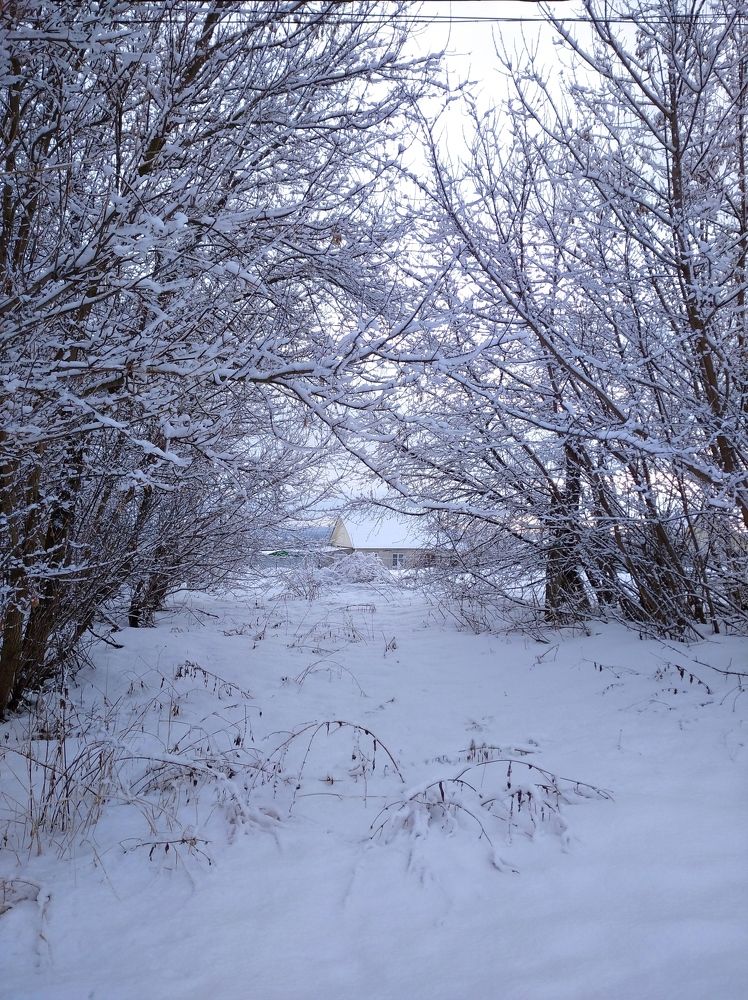 Photograph by Елена Коробченко