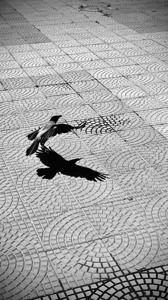 Photograph by Борис
