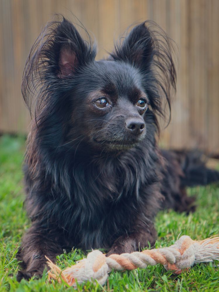 Photograph by Ekaterina Slepneva