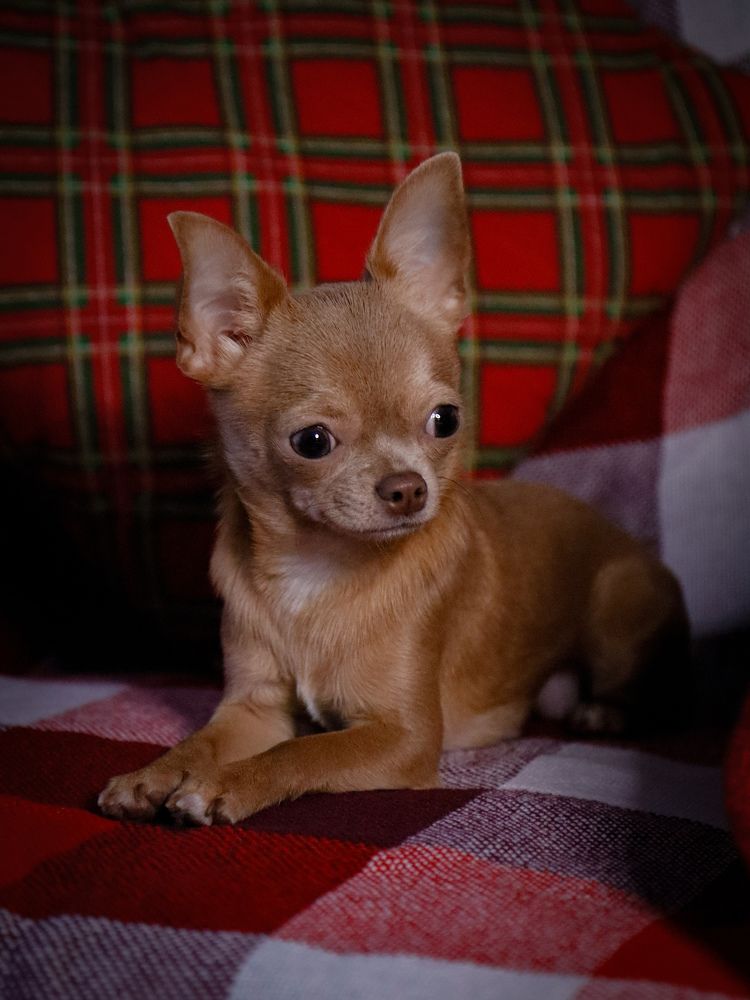 Photograph by Ekaterina Slepneva