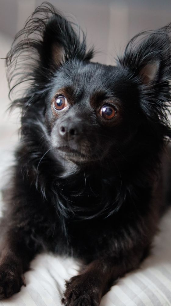 Photograph by Ekaterina Slepneva