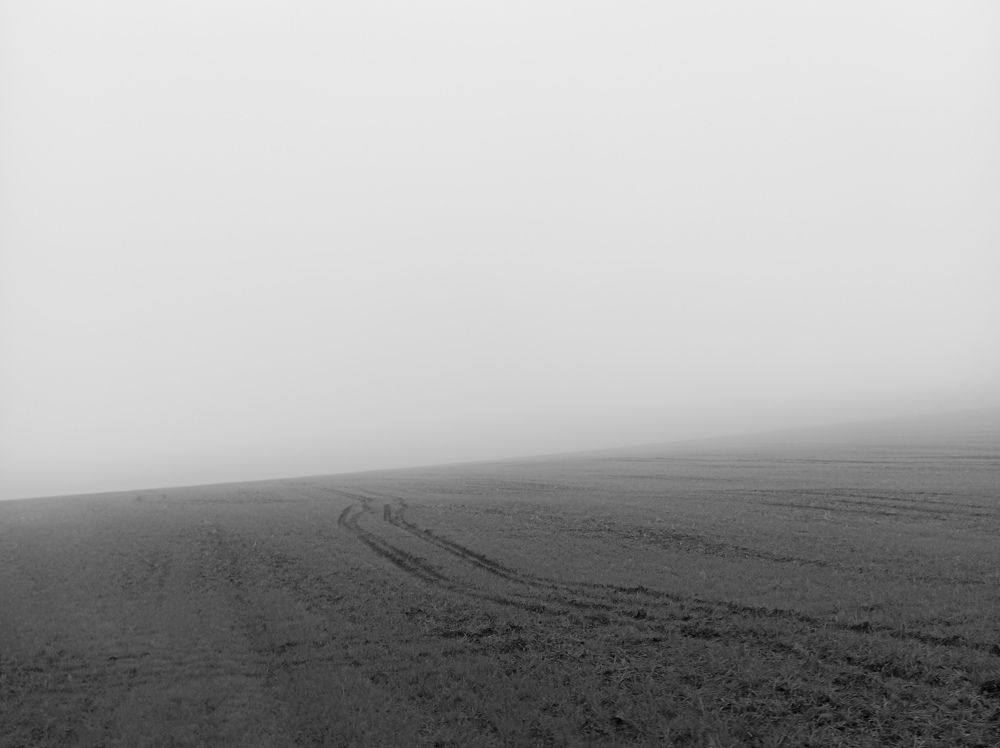 Photograph by Максим Бычин