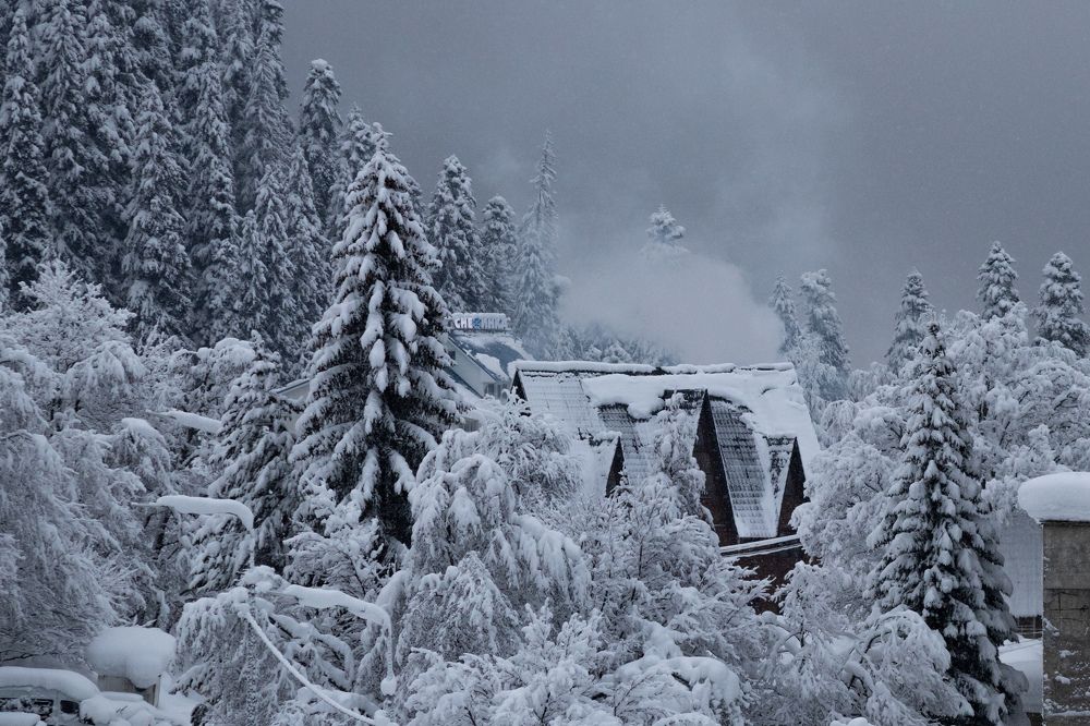 Photograph by Дмитрий Костяков