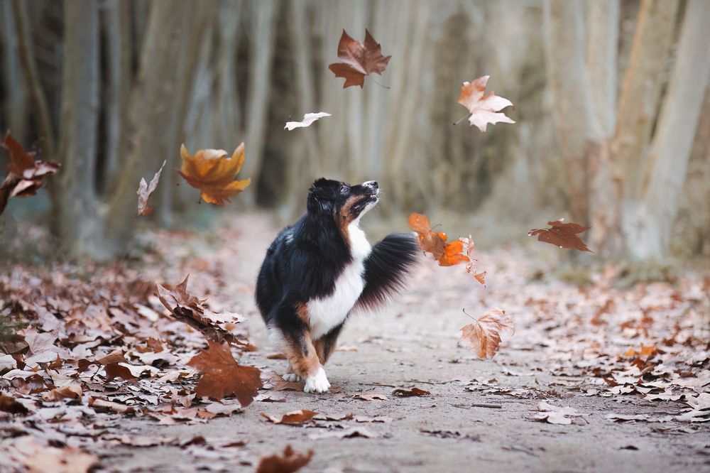 Photograph by GRISELDA FERNANDEZ