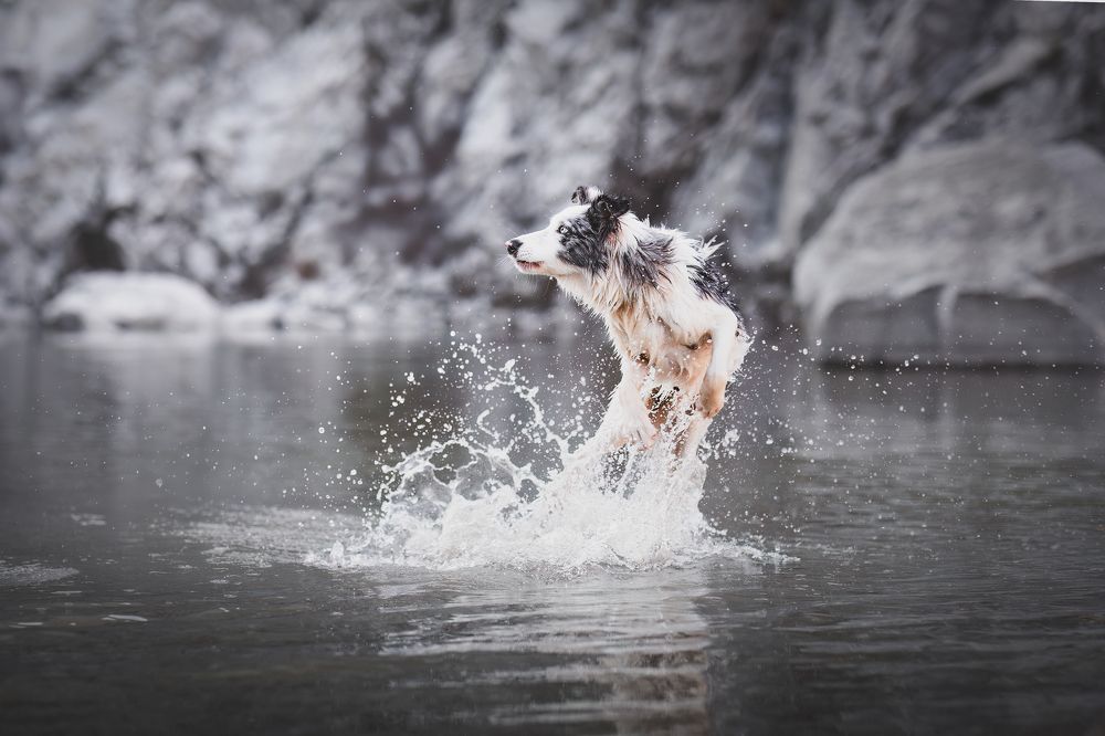 Photograph by GRISELDA FERNANDEZ