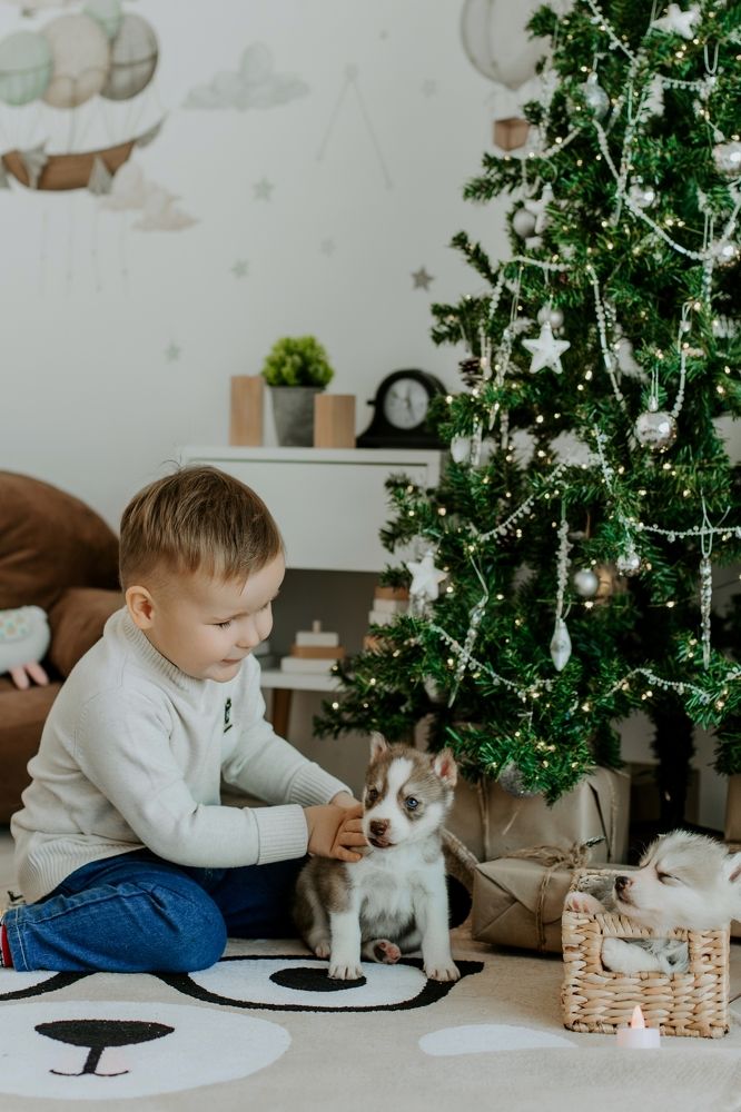 Photograph by Екатерина Осипова