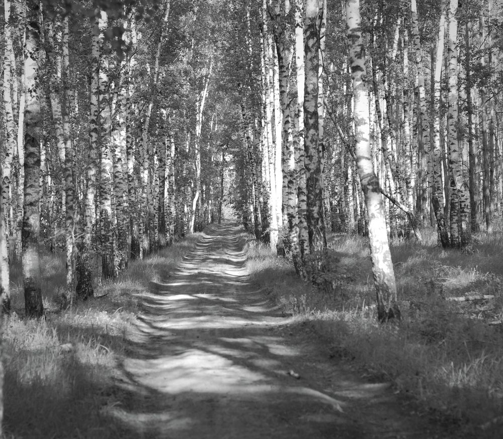 Photograph by АЛЛА ТАРАСЕНКО