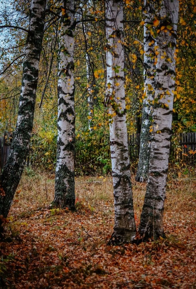 Photograph by Анна Каменева