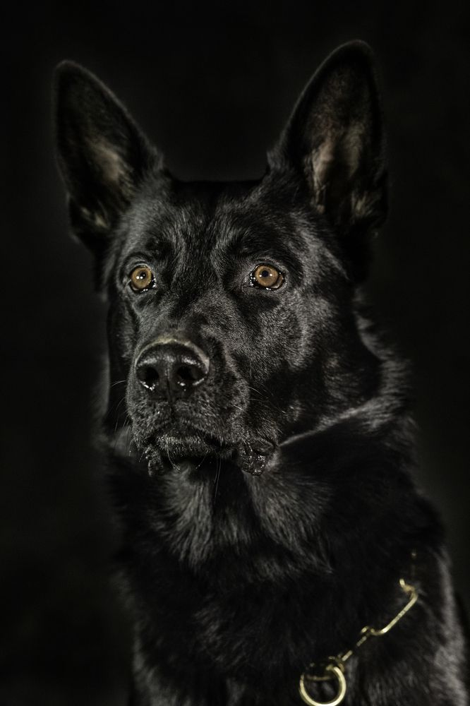 Photograph by Алина Дудорова