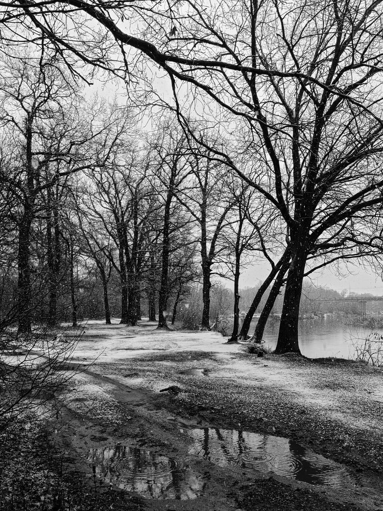 Photograph by Ольга