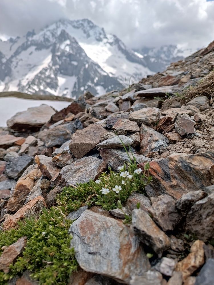 Photograph by Ирина Бочарова