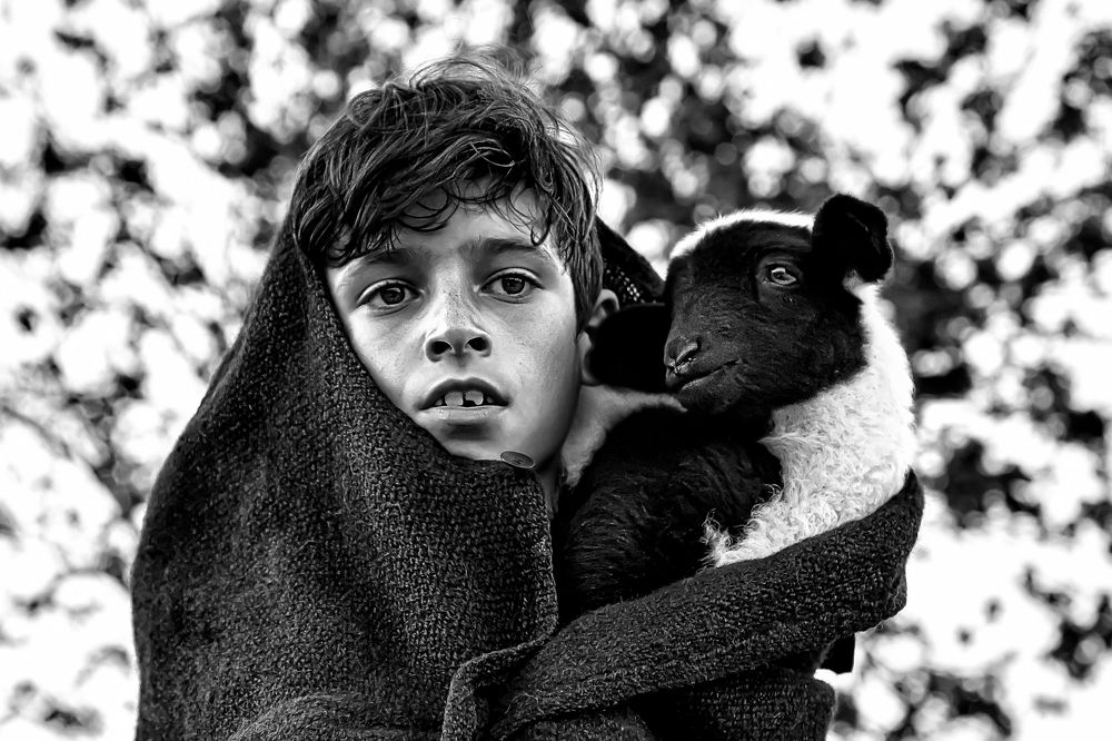 Photograph by Amin Mahdavi