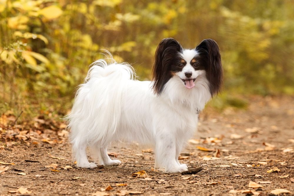 Photograph by Алина Дудорова