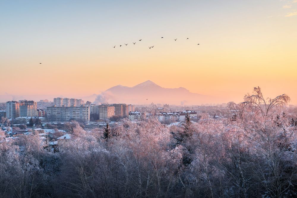 Фотография автора Zakharov Armen