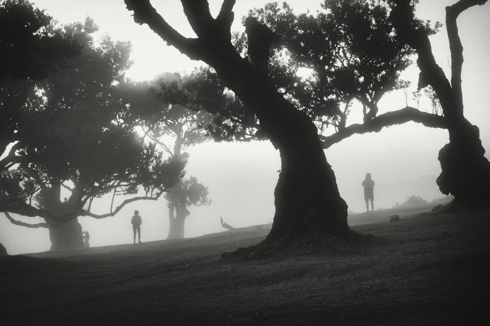 Фотография автора Vasilev Kris