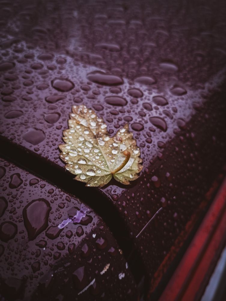 Photograph by Александр Новокрещенов