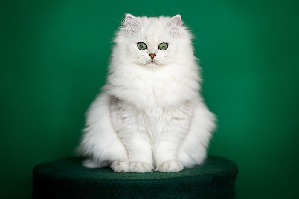 Photograph by Veronika Blažeková