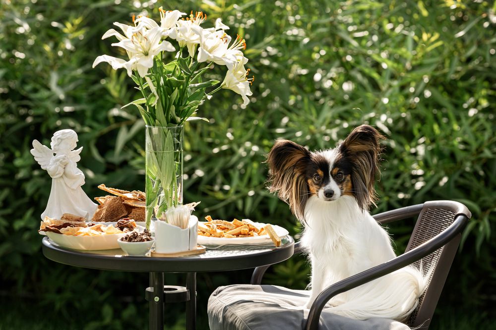 Photograph by Алина Дудорова