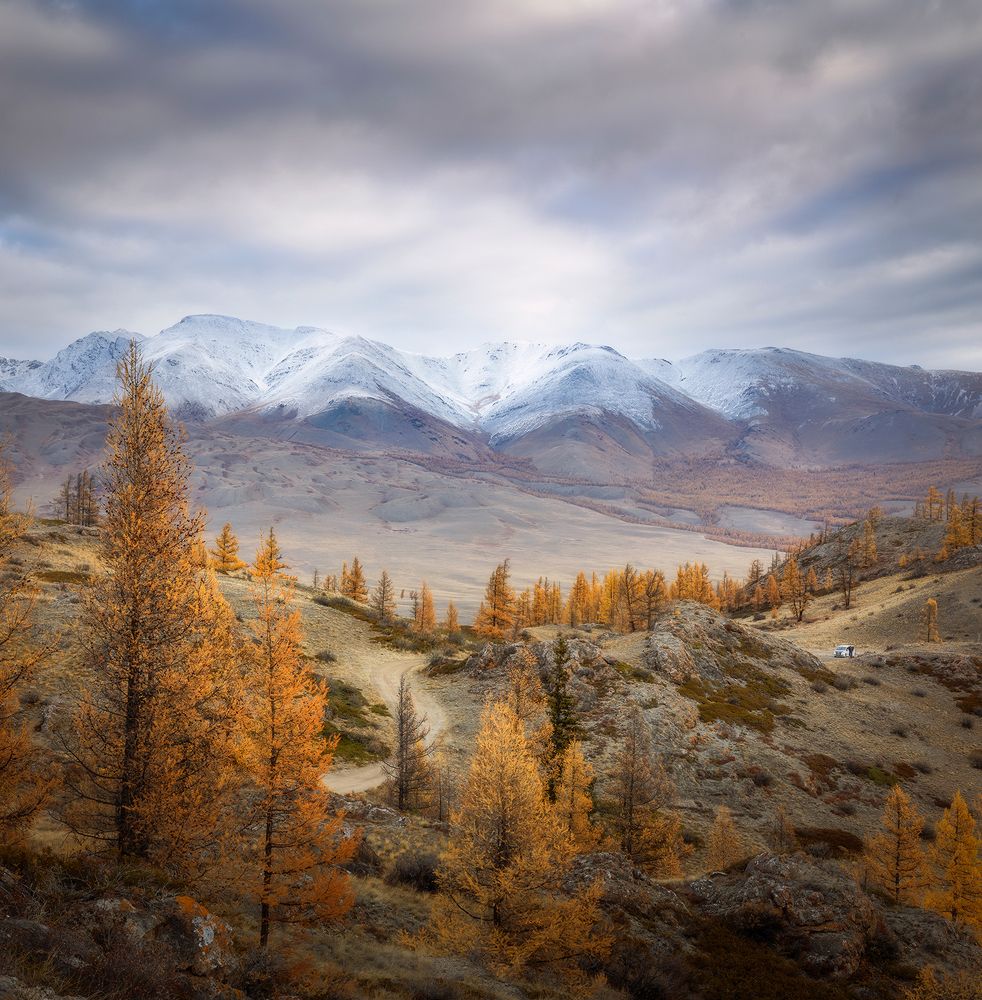 Пасмурный рассвет