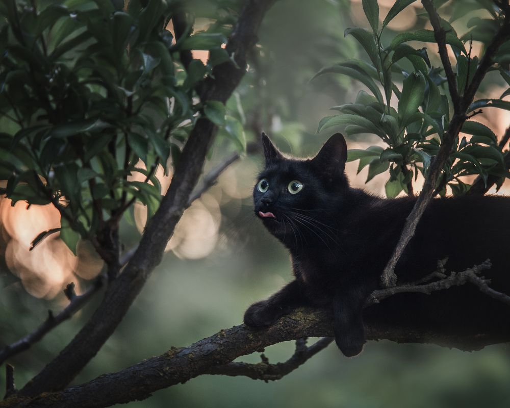 Photograph by Юлианна Митрофанова