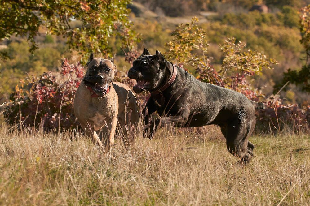 Photograph by Дарья Кравченко