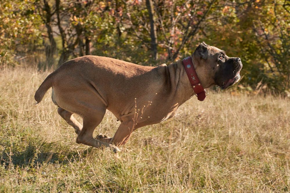 Photograph by Дарья Кравченко