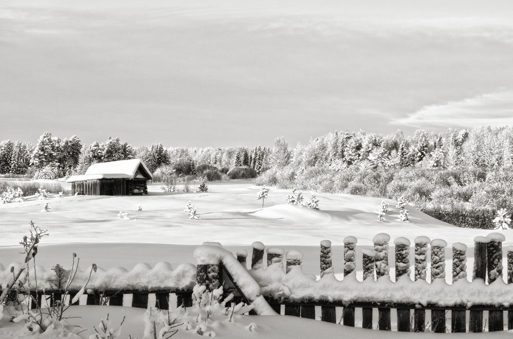 Photograph by Роман Пацкевич