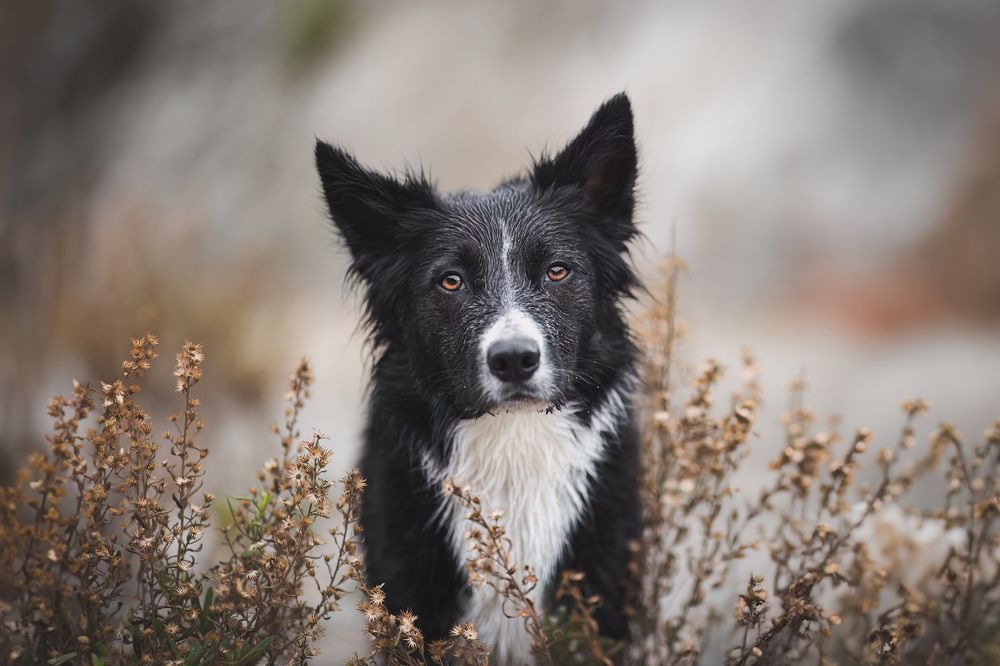 Photograph by GRISELDA FERNANDEZ