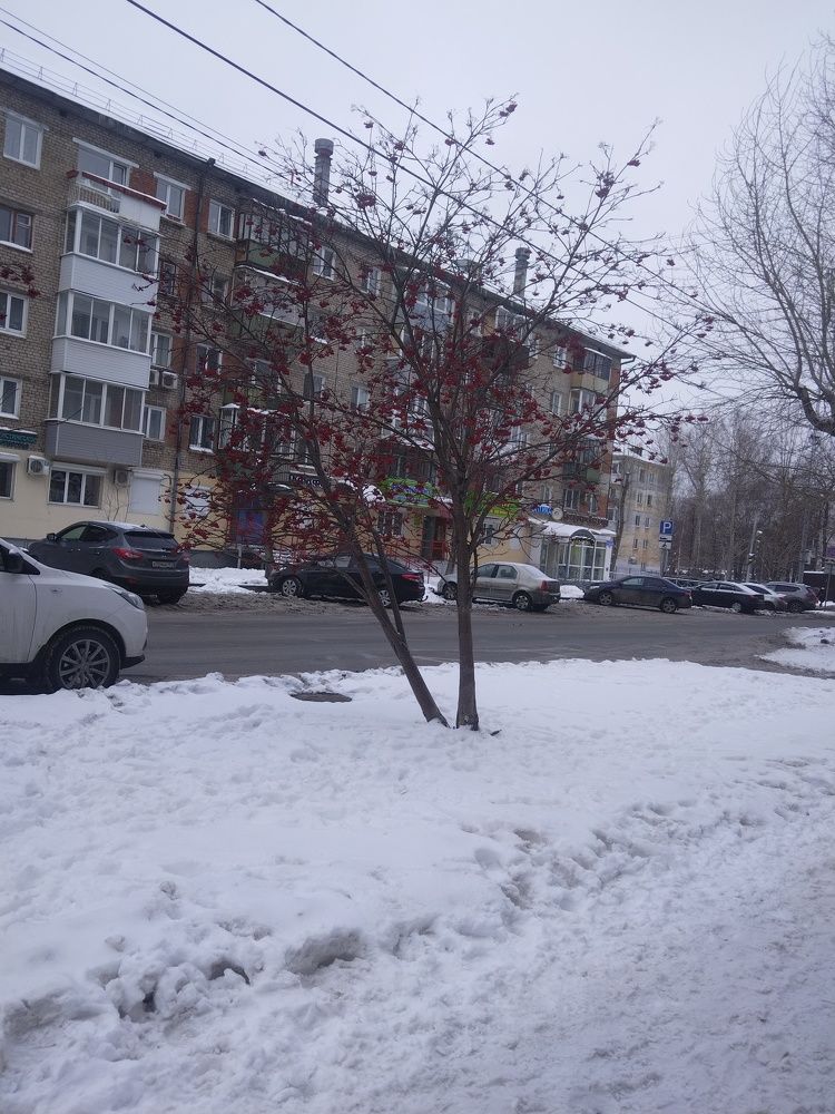 Photograph by Анастасия