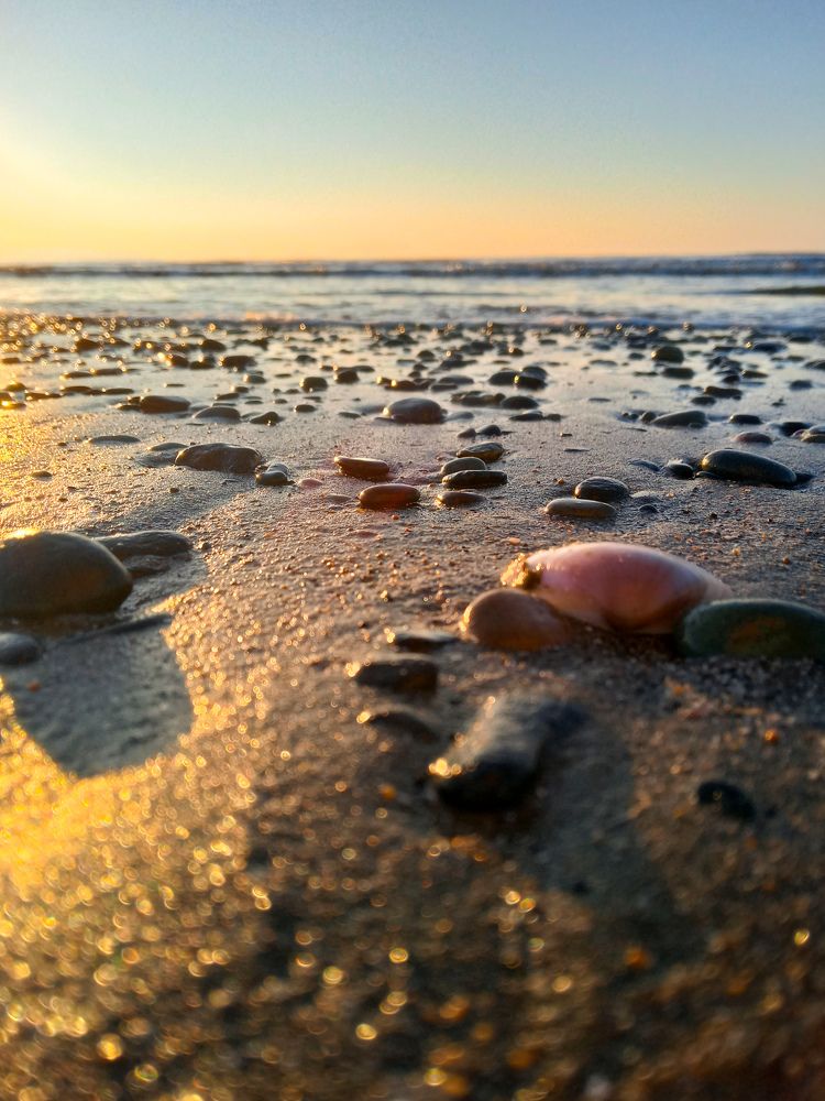 Photograph by Dilara C