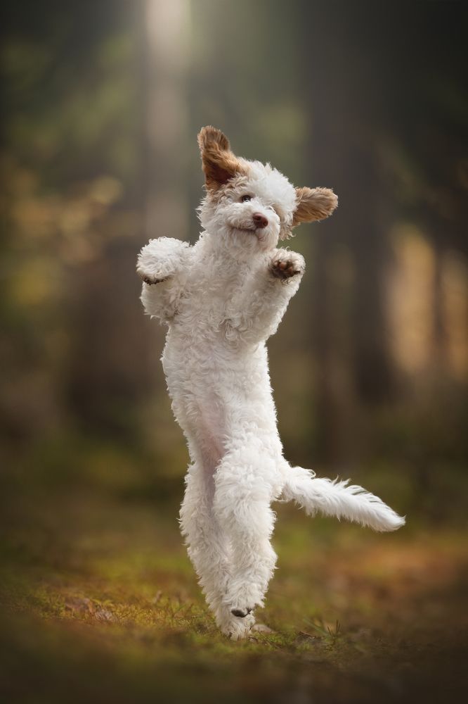 Photograph by Людмила Богуш