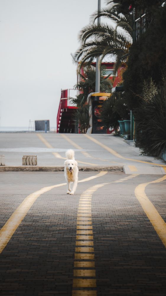 Photograph by Vadzim Darafei